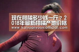 开元网站