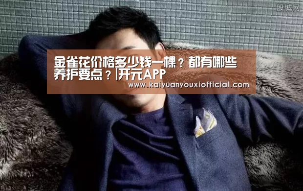 开元体育