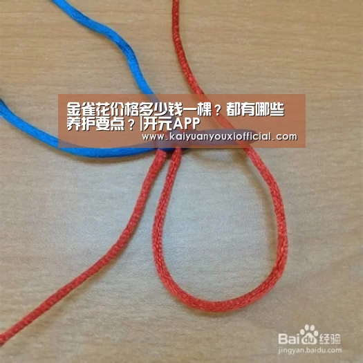 开元体育