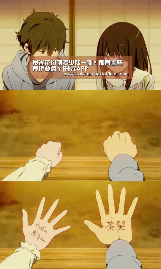 开元网站