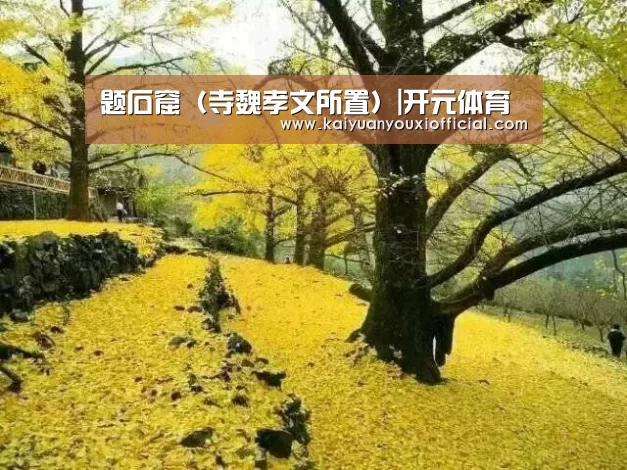 开元棋牌